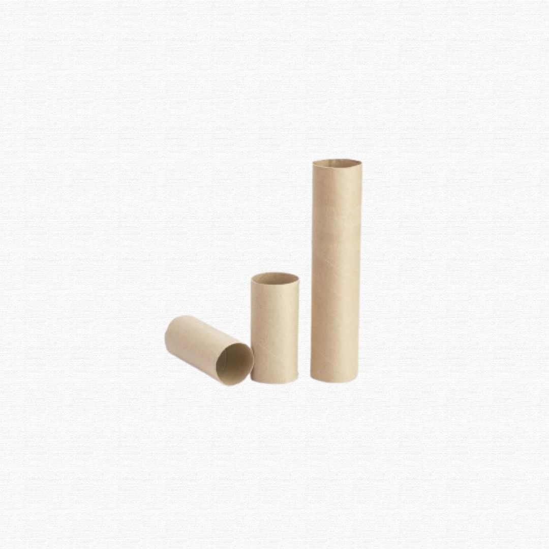 Empty brown cardboard tubes from toilet paper and paper towels
